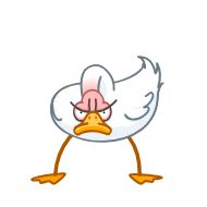 Стикер C-G 18+ - 0