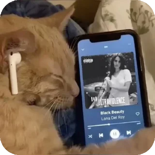 Sticker Cats 💪 - 9