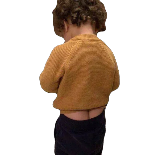 Стикер CatsPrem_1731e_by_TgEmodziBot - 1