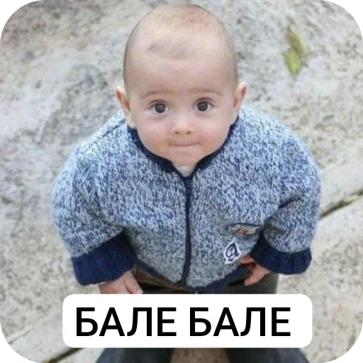 Стикер CatsPrem_1731e_by_TgEmodziBot - 1