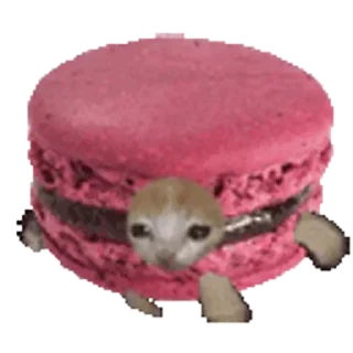 Стикер Больше стиков тут: @stikery4 - 2