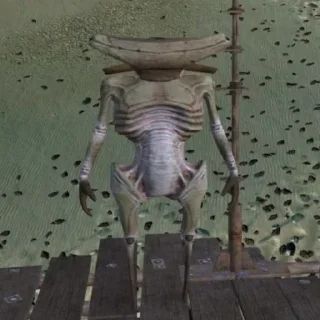 Sticker Дунчик - 5