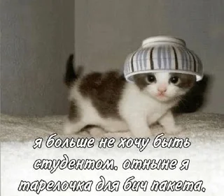 Sticker Риска миса | @nickel_quarry - 4