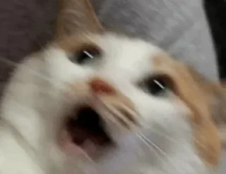 Sticker Риска миса | @nickel_quarry - 1