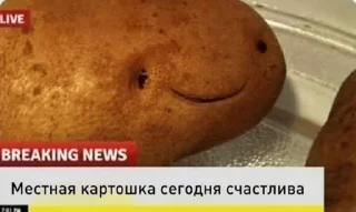 Sticker Риска миса | @nickel_quarry - 3