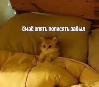 Sticker @kIrshke - 1