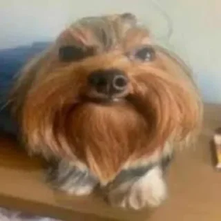 Sticker Coal miners - 5