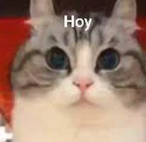 Sticker ComaruStickers_by_TgEmodziBot - 1