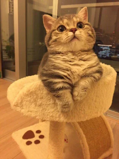 Sticker CuteGirl_by_Stickers_Maker_Robot - 1