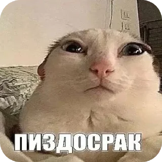 Sticker Цыганский Понос: @kyoroshy - 9