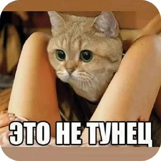 Sticker DJ SIDE - 10