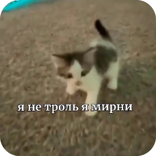 Стикер DOXBINYghoul - 1