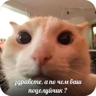 Стикер да вьлвлв - 10