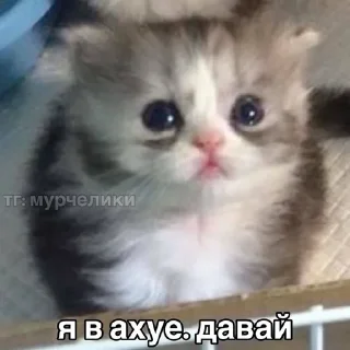 Стикер да вьлвлв - 9