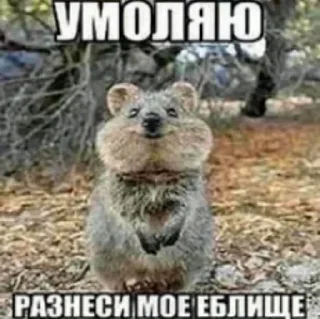 Стикер да вьлвлв - 0