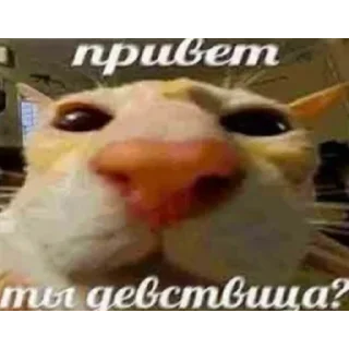 Стикер да вьлвлв - 8