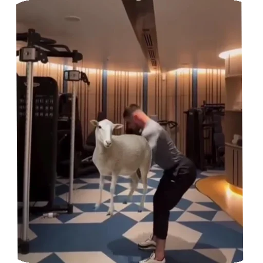 Sticker Dagestanovskie - 1