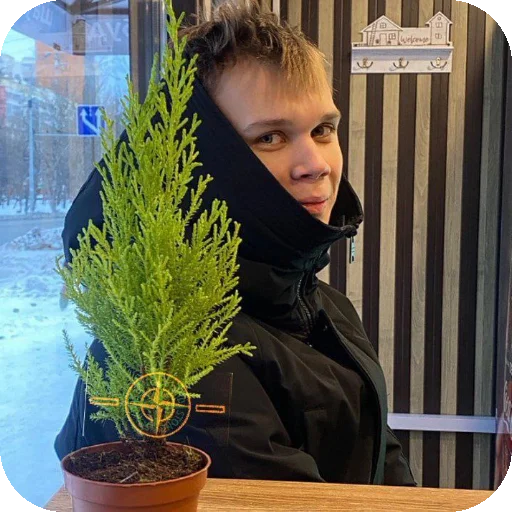 Sticker DanyaDrug - 1