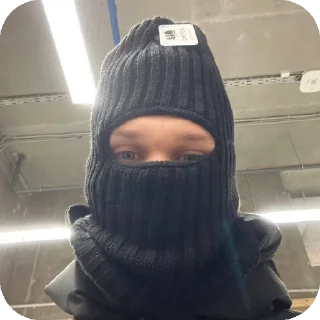 Стикер Даня и Илюша +Бонусный хорек - 6