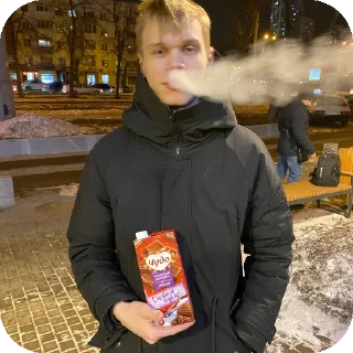 Стикер Даня и Илюша +Бонусный хорек - 9