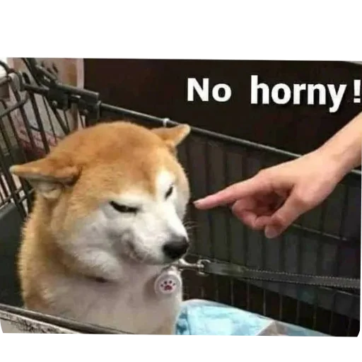 Стикер DarkZen3 - 1