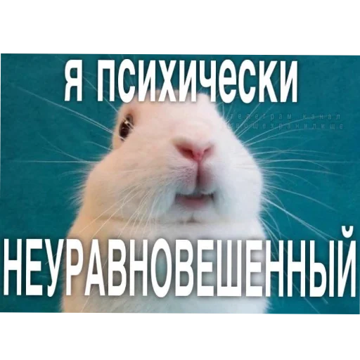 Sticker DarkZen3 - 1