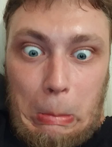 Sticker Daun_3605575_by_DayStikBot - 1