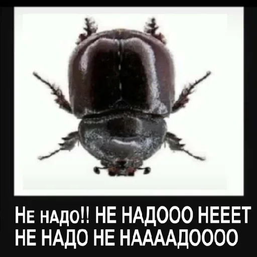 Sticker Daun_3605575_by_DayStikBot - 1