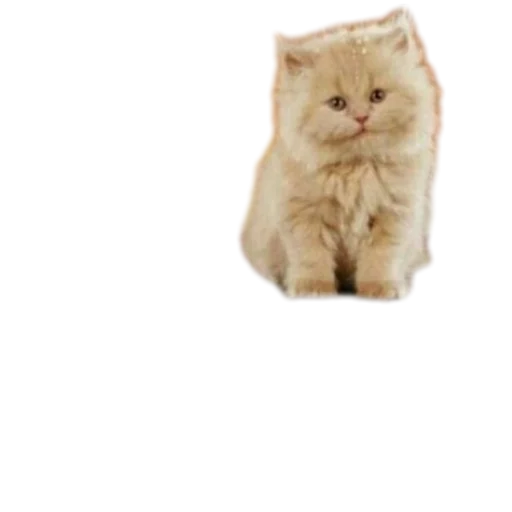 Sticker Daun_3605575_by_DayStikBot - 1