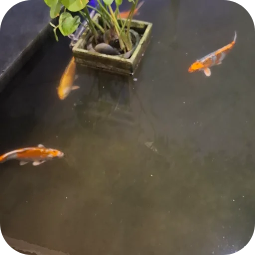 Sticker DlyaIstenyh - 1