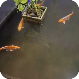 Sticker Для истеных - 1