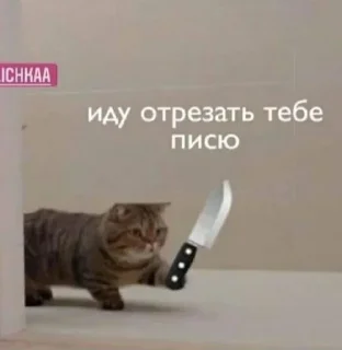 Стикер Для тюбиков - 7