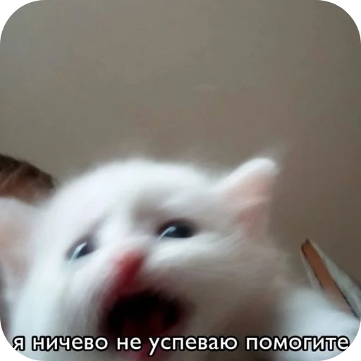 Стикер DlyaVazhnyhPeregovorov718 - 1