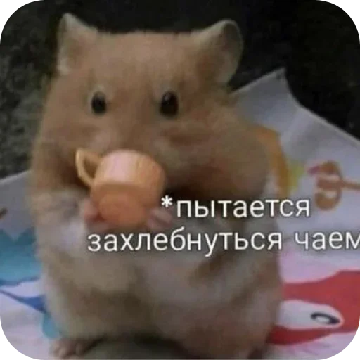 Для важных переговоров - 