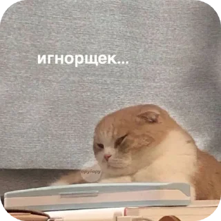 Sticker Для важных переговоров - 7