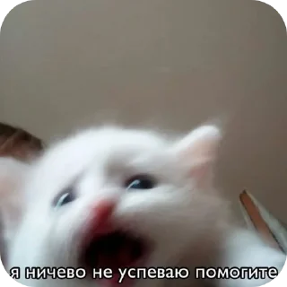 Sticker Для важных переговоров - 3