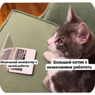 Sticker Для важных переговоров - 10