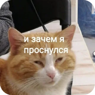 Sticker Для важных переговоров - 4