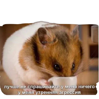 Sticker Для важных переговоров - 9