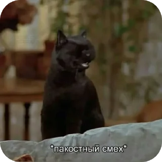 Sticker Для важных переговоров - 5