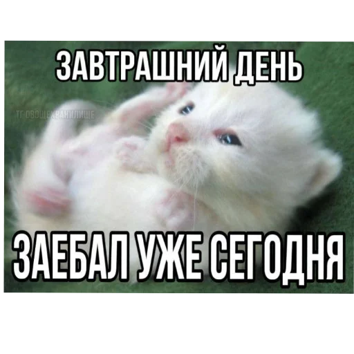 Sticker DniNedeli277 - 1