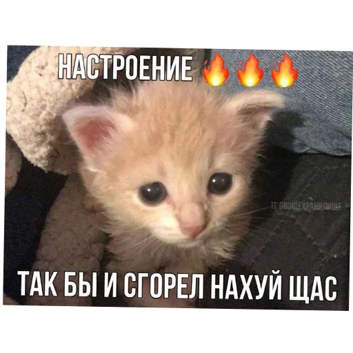 Sticker DniNedeli277 - 1