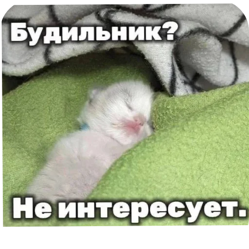 Sticker DniNedeli277 - 1