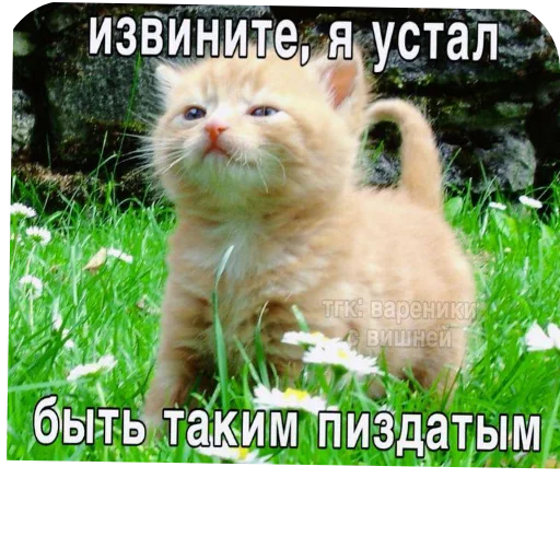 Стикер DniNedeli277 - 1