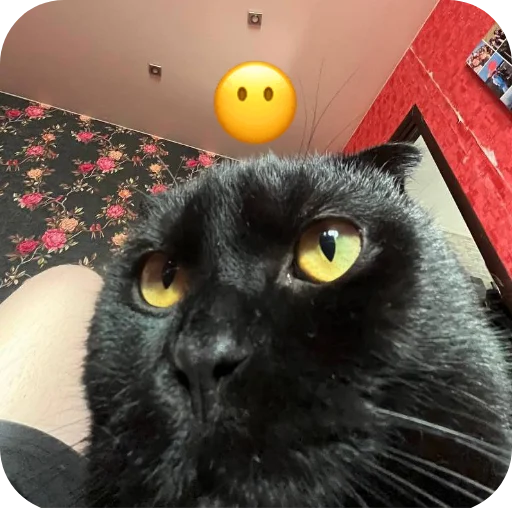 Sticker DniNedeli277 - 1