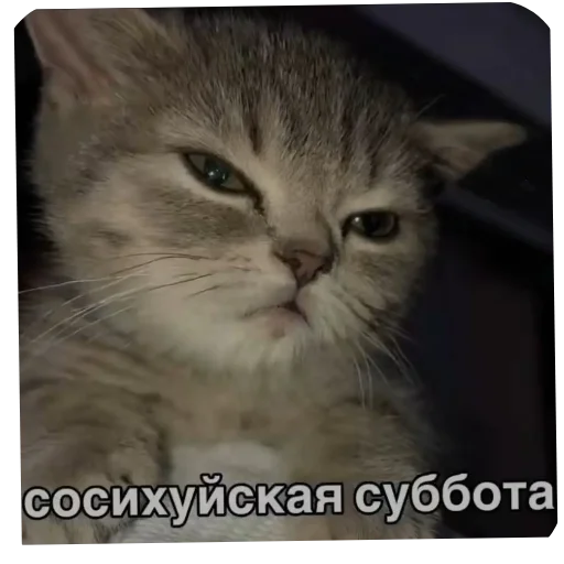 Sticker DniNedeli277 - 1