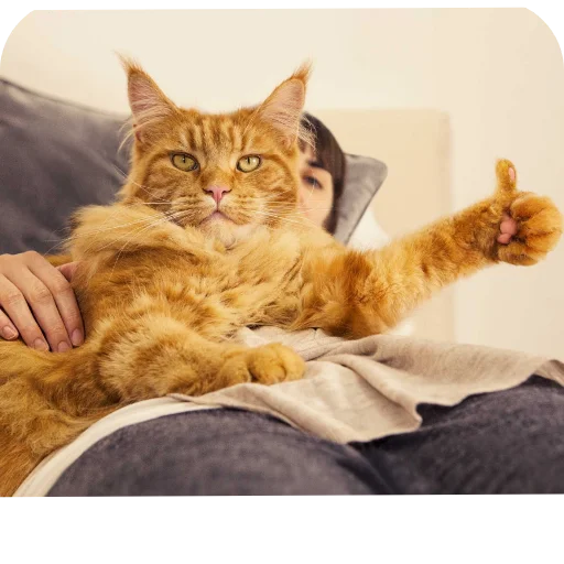 Sticker DniNedeli277 - 1