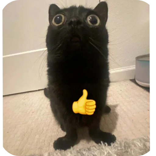 Sticker DniNedeli277 - 1