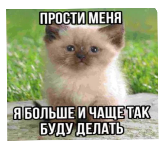 Sticker DniNedeli277 - 1