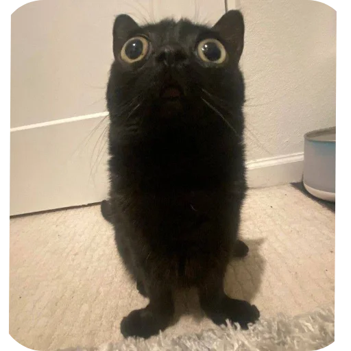 Sticker DniNedeli277 - 1